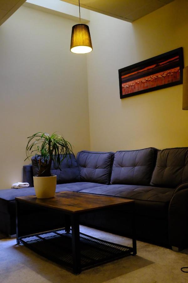 City Apartment Getta Краков Экстерьер фото